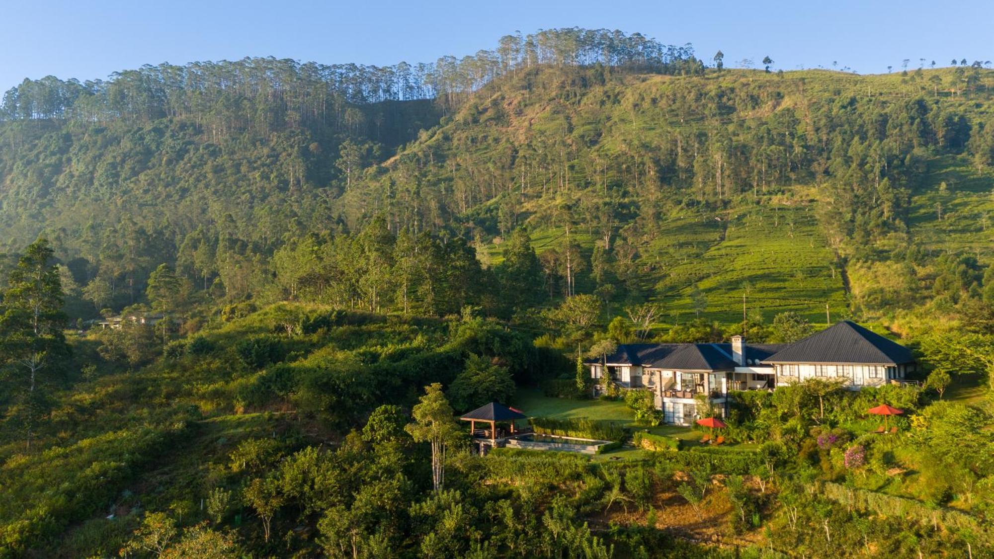 Отель Camellia Hills Хаттон Экстерьер фото